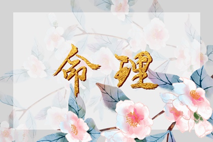 择吉黄历,择吉日大全,择吉日查询